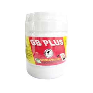 GB Plus v2